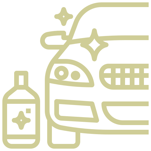 Professional Car Detailing Service